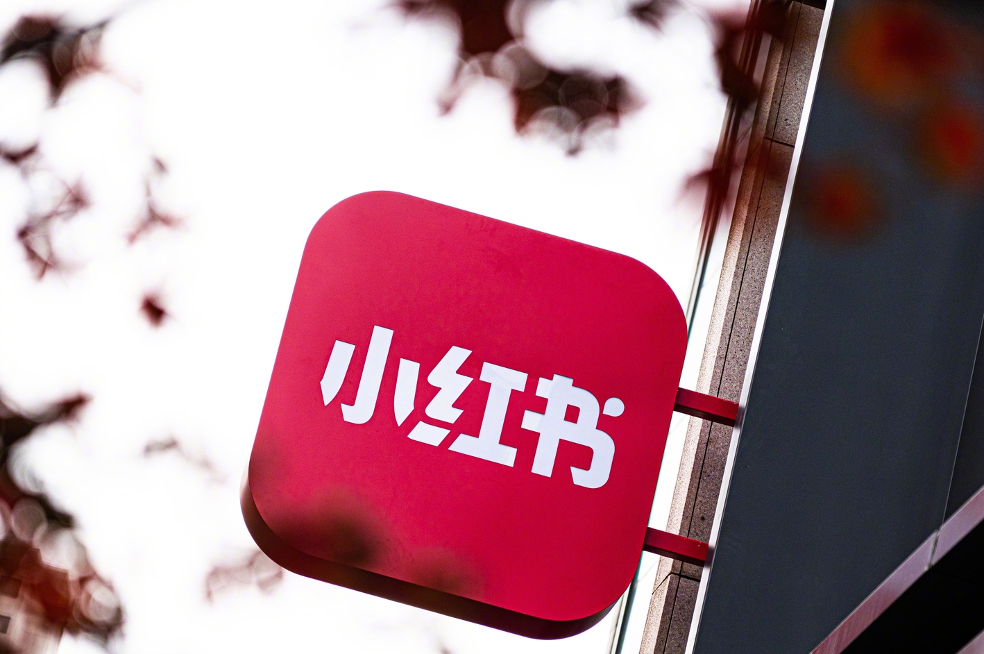 小红书营销