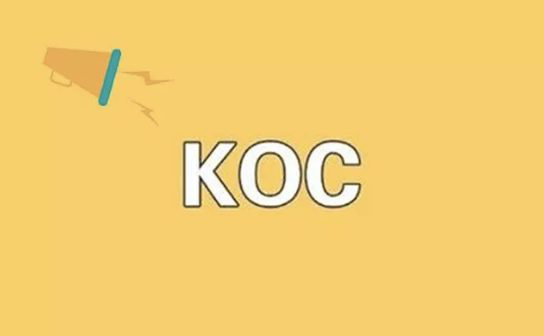 品牌如何挑选KOC