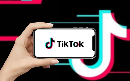 TikTok日本站