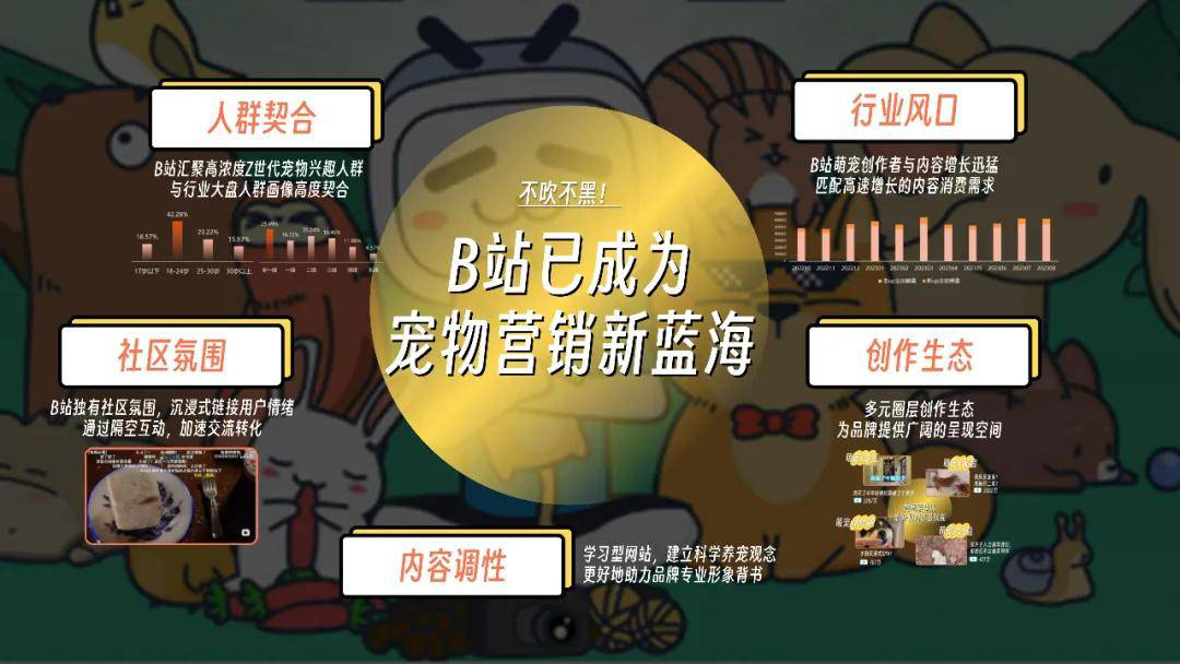 宠物品牌B站投放广告正确方式